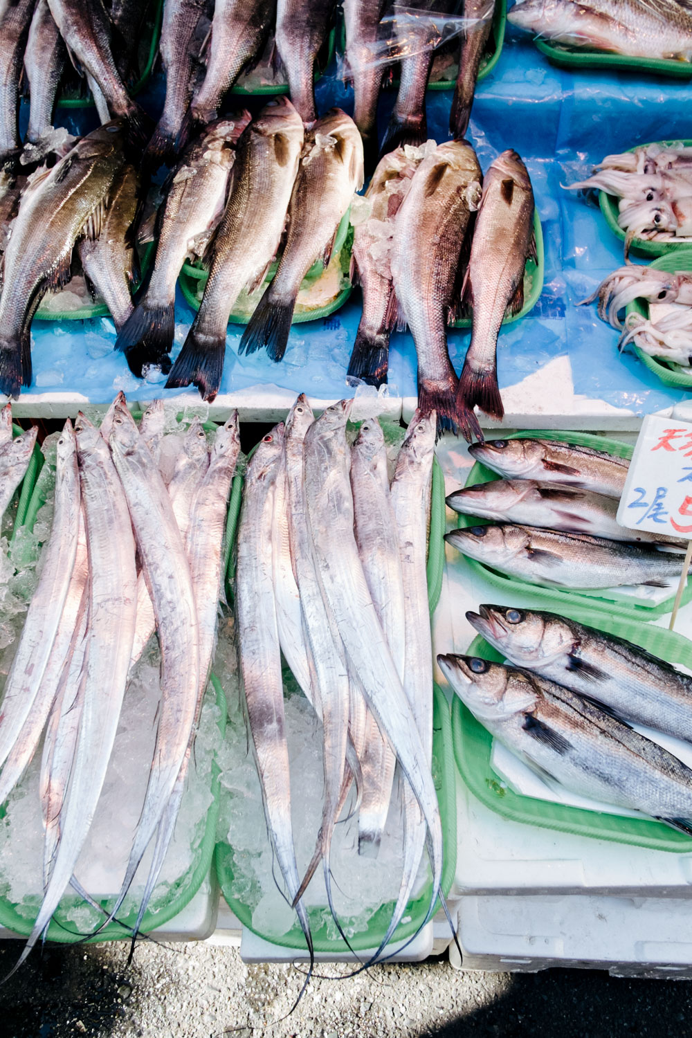 Kristin Teig Photography | Fish at Ueno market - Japan